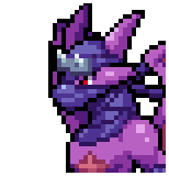 ninjadragon